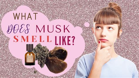 what does musk smell like in perfume